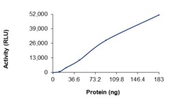 Sino Biological&nbsp;Recombinant Human PI3K (p110 alpha/p55 gamma) Protein (Full Length, His Tag), Active